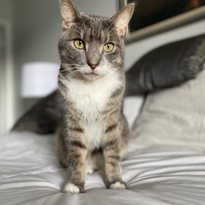 Fundraising Page: Nola and Killian Page